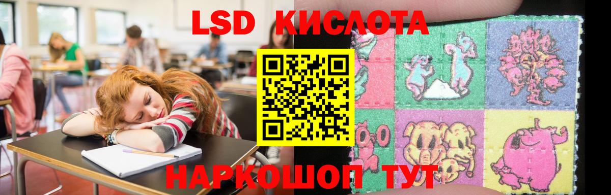 Сердобск  ОМГ ОМГ маркетплейс  Вход с VPN  ЛСД экстази кислота  ЛСД экстази кислота  ЛСД экстази 