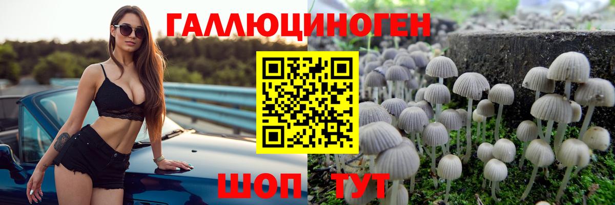 Галлюциногенные грибы Psilocybe Сердобск